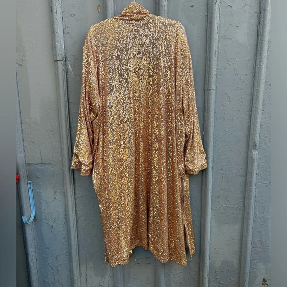 Anthropologie BB Dakota Dulcinea Sequined Duster Jacket, 3X - Picture 14 of 15